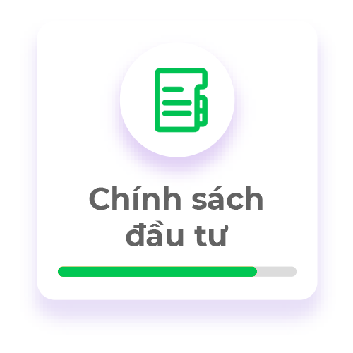 Chinh Sach Dau Tu